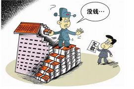 临渭如何避免债务纠纷？专业追讨公司教您应对之策